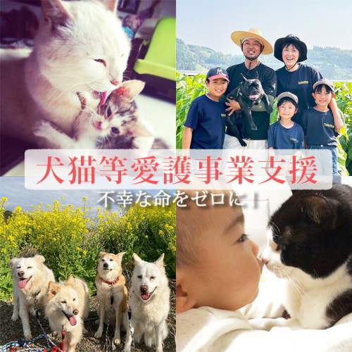 【返礼品なし】【犬猫等愛護活動 犬と猫と人にとって住みよい社会づくりを応援】宮崎県 高原町 特定非営利活動法人 咲桃虎(さくもんと) チャリティー 応援寄付金 募金 動物愛護活動 保護 ボランティア ペット 社会貢献 治療 支援 ワンストップオンライン対応　 10000円以下　TF3000-P00056 1374863 - 宮崎県高原町