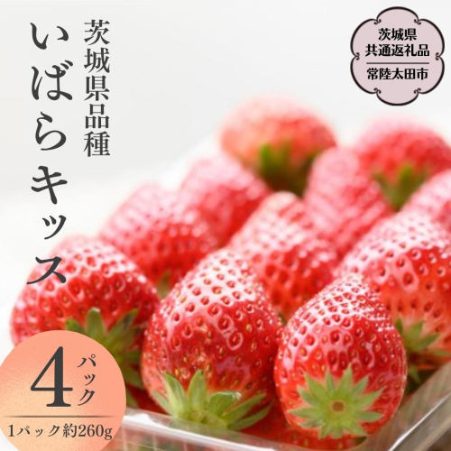 【2025年1月上旬】茨城県品種いばらキッス(4パック×1箱)（茨城県共通返礼品／常陸太田市） フルーツ 苺 イチゴ いちご 新鮮 朝採れ 茨城県 桧山FRUITFARM [DY001sa] 1376005 - 茨城県桜川市