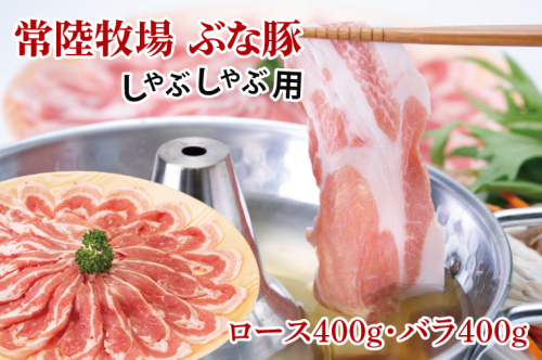 常陸牧場 ぶな豚 しゃぶしゃぶ用 (ロース400g・バラ400g)（AX002） 1377612 - 茨城県大子町