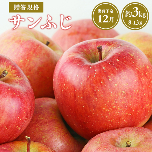 【令和7年産先行受付】令和7年12月発送 贈答規格サンふじ約3kg【青森県平川市産・青森りんご】 1379017 - 青森県平川市