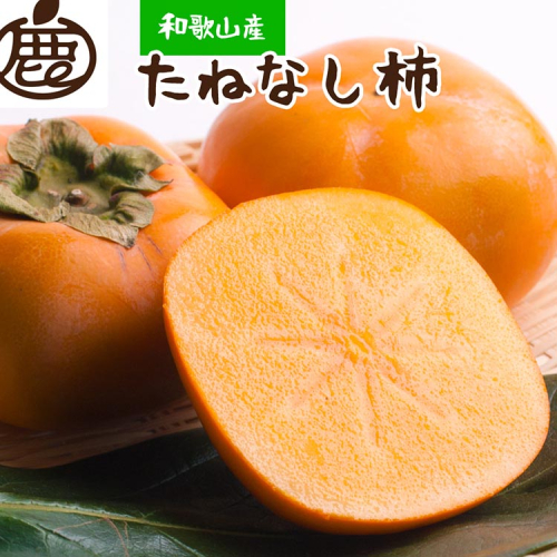 ＜10月より発送＞厳選たねなし柿1.5kg【刀根早生・平核無柿（ひらたねなしかき）】｜カキ・種無柿・種無し柿・種なし柿・無核柿 ※北海道・沖縄・離島への配送不可 ※2025年10月上旬～11月中旬頃に順次発送予定 1380727 - 和歌山県美浜町