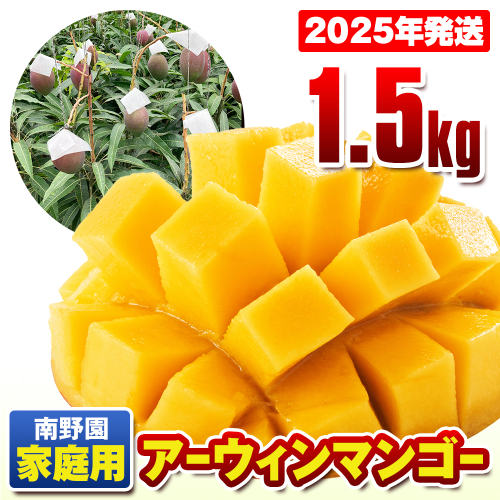 【2025年発送】南野園　家庭用　アーウィンマンゴー1.5kg 1382233 - 沖縄県南風原町