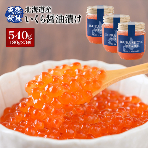 【10営業日以内発送！】天然秋鮭 いくら醤油漬け540g(180g×3)【0211503】 1382686 - 北海道羽幌町