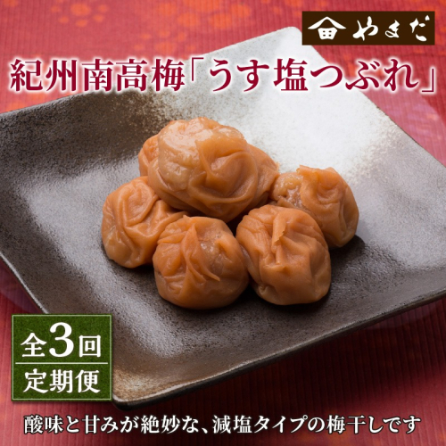 【定期便3回】紀州南高梅うす塩つぶれ(塩分約6%) 1384124 - 和歌山県御坊市