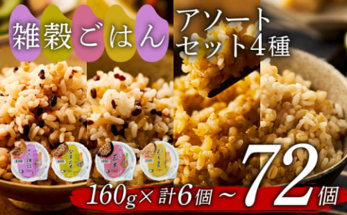 雑穀ごはん アソートセット 4種 160g 12個 十六雑穀 発芽玄米 玄米 もち麦 パックごはん パックご飯 ごはんパック ご飯パック パックライス パック 16雑穀 雑穀 米 ごはん ご飯 こめ ライス 備蓄 保存 防災 レンジ 温めるだけ レンチン 簡単 調理 健康 栄養 ダイエット 美容 レトルト インスタント 国産 セット 人気 おいしい 12 12食 おくさま印 大阪 松原