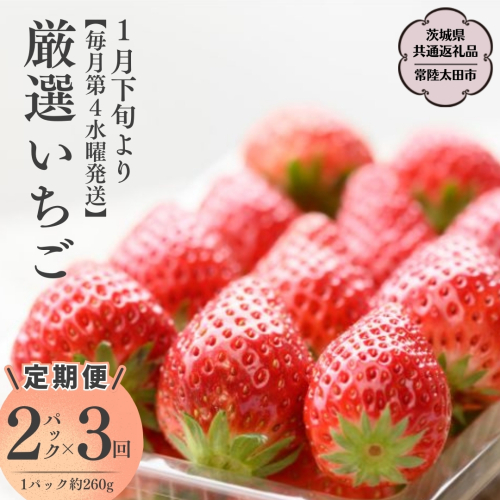 【2026年 先行予約】【定期コース】厳選いちご 2パック×3回【第4水曜発送】（茨城県共通返礼品／常陸太田市） 2026年1月発送開始 フルーツ 苺 イチゴ いちご 新鮮 朝採れ 茨城県 桧山FRUITFARM [DY011sa]	 1384166 - 茨城県桜川市