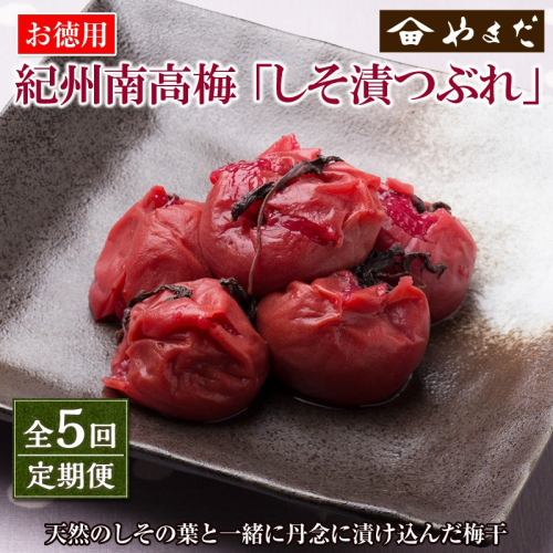 【定期便5回】紀州南高梅しそ漬つぶれ(塩分約15%) 1384336 - 和歌山県御坊市