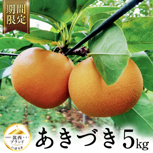 【 JA 北つくば 】 筑西ブランド 認証品 あきづき 5kg 2025年産 先行予約 梨 果物 フルーツ なし ナシ 和梨 秋月 秋月梨 あきづき梨 くだもの デザート 茨城 [AE028ci] 1385239 - 茨城県筑西市