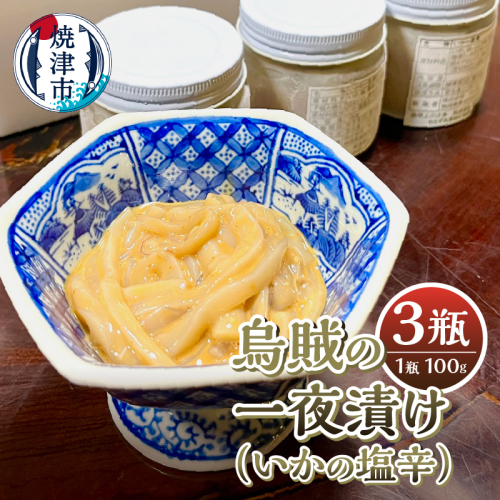 a10-1071　いかの塩辛 1386422 - 静岡県焼津市