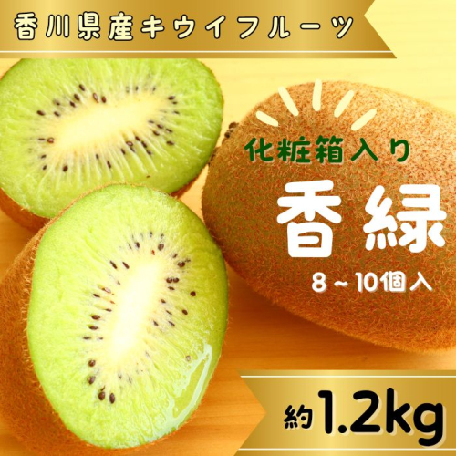 香緑（キウイフルーツ）1.2kg 8～10個 化粧箱入り【予約受付中！令和6年11月中旬頃より発送！】【A-111】 1386600 - 香川県多度津町