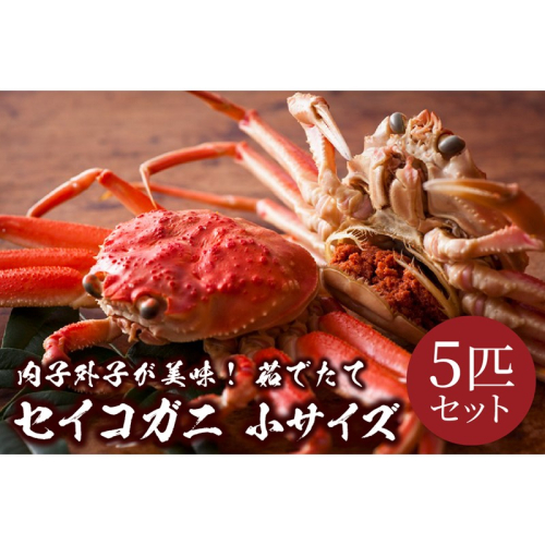 【蟹の匠 魚政】内子外子が美味! 茹でたて セイコガニ（セコ蟹）（香箱ガニ）（こっぺ）小サイズ 5匹セット＜せいこがに せこがに 香箱かに せいこかに せこかに コッペ こっぺがに 茹でたて 内子 外子 せこ蟹＞ 1387003 - 京都府京丹後市