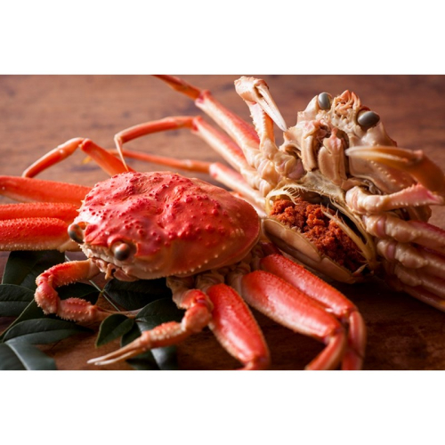 【蟹の匠 魚政】内子外子が美味! 茹でたて セイコガニ（セコ蟹）（香箱ガニ）（こっぺ）大サイズ 5匹セット
 1387266 - 京都府京丹後市