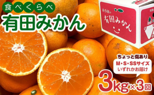 定期便 ちょっと 傷あり 3kg × 3回 コース 有田みかん 食べくらべ 3種 全3回 南泰園 みかん 1388189 - 和歌山県有田川町