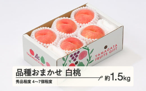もも 桃 品種おまかせ 白桃 秀品程度 約1.5kg(4~7個程度)   2025年産 山形県産 ※沖縄・離島への配送不可 tf-moyws1500