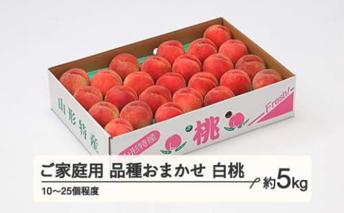 【先行予約】もも 桃 品種おまかせ 白桃 ご家庭用 約5kg(10~25個程度)  2026年産 山形県産 ※沖縄・離島への配送不可 tf-moywm5