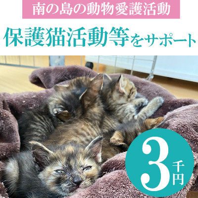 【南の島の動物愛護活動】保護猫活動等をサポート（3千円）
 138833 - 沖縄県八重瀬町