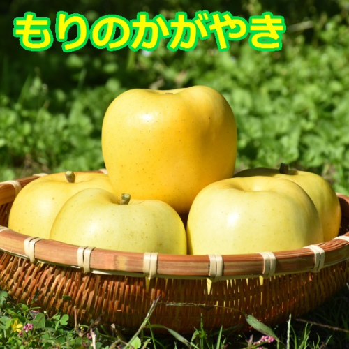 希少！りんご【もりのかがやき】約5kg（10～20玉）【2025年産・先行予約】★2025年10月上旬～10月下旬頃まで発送予定★ 青森県三戸町産 138951 - 青森県三戸町