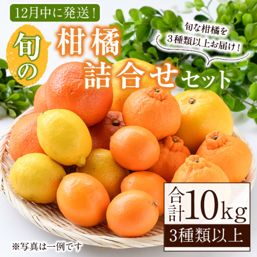 ＜先行予約受付中！2025年12月発送分！＞旬の柑橘詰合せセット (約10kg) 国産 柑橘 果物 フルーツ 柑橘 ミカン 旬 詰合せ セット【桐野柑橘株式会社】akn070-16-m12 1390712 - 鹿児島県阿久根市