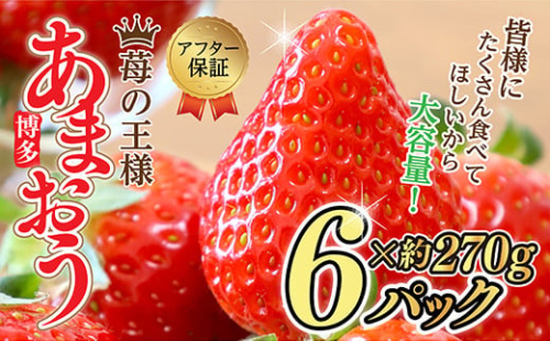 【福岡県産 あまおう】テレビ 「 ヒルナンデス 」 で紹介されました！ 訳あり グランデ 約 270g 前後 × 6パック ふるさと納税 あまおう いちご イチゴ 苺 博多 赤村 あまおう  果物 くだもの フルーツ ジャム にも ケーキ にも 先行予約 数量限定 ふるさと ランキング 人気 おすすめ 福岡 TV紹介 送料無料 3W13