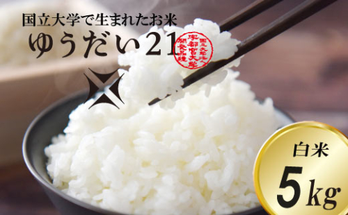 ＼令和7年産・先行予約／【数量限定】あい　farm　やなぎのお米　令和7年産 ゆうだい21 白米 5kg | 栃木県 益子町 ふるさと納税 お米 米 5kg 白米 (DQ006) 1394476 - 栃木県益子町