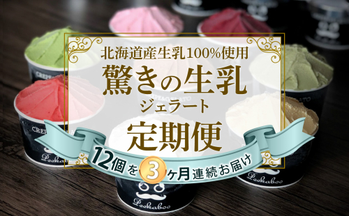 ＜3ヶ月定期便＞北海道産 生乳 ジェラート アイス 毎月12個  詰め合わせ ジェラートセット 139449 - 北海道新ひだか町