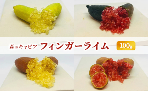 フィンガーライム100g 森のキャビア キャビアライム フルーツキャビア 1394609 - 岐阜県海津市