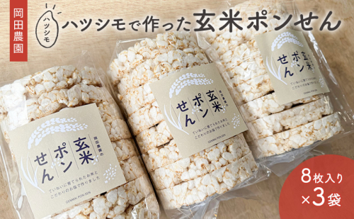 岡田農園のハツシモで作った玄米ポンせん 1394611 - 岐阜県海津市
