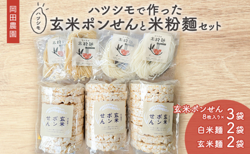 岡田農園のハツシモで作った玄米ポンせんと米粉麺 1394612 - 岐阜県海津市