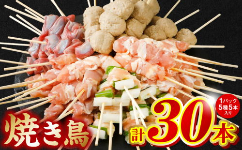 やきとり5種 30本セット お試しサイズ！ 国産 鶏肉 串 九州産 冷凍 小分け ねぎま とろ もも 砂肝 つくね 1394909 - 熊本県八代市