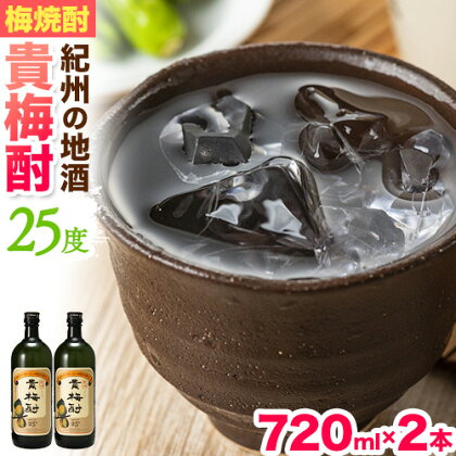 紀州の地酒 貴梅酎 きばいちゅう 25度 720ml×2本 エバグリーン 中野BC株式会社《30日以内に出荷予定(土日祝除く)》和歌山県 日高町 酒 お酒 地酒 梅焼酎 1395561 - 和歌山県日高町
