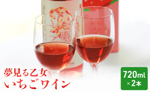 【亘理町いちご産】夢見る乙女2本セット いちごワイン 1395700 - 宮城県亘理町