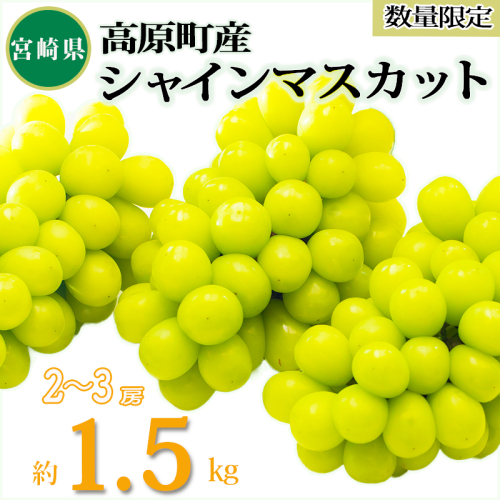 【数量限定・先行受付】久保ぶどう園のシャインマスカット(約1.5kg) 果汁たっぷりの美味しい種なし葡萄 [大粒 果物 フルーツ 季節限定 期間限定 果物 産地直送 1.5キロ 2房～３房 2個～３個 ワンストップオンライン] TF0780-P00005 1395940 - 宮崎県高原町
