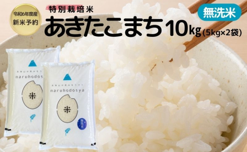 新米予約【無洗米】特別栽培米あきたこまち5kg×2 令和7年産 秋田県 にかほ市 お米 米 こめ 1396037 - 秋田県にかほ市