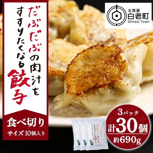 だぶだぶの肉汁をすすりたくなる餃子 30個（10個入×3パック） 1396131 - 北海道白老町
