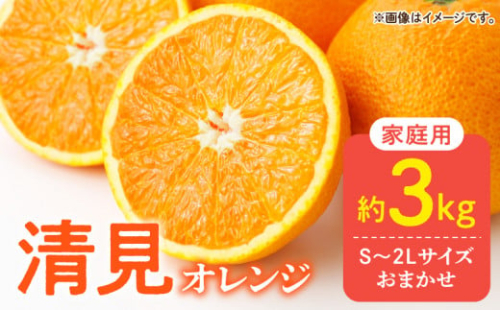 DZ6104_【2026年先行予約】ご家庭用 きよみ 清見オレンジ 和歌山 有田 S～2Lサイズ 大きさお任せ 約3kg 1396230 - 和歌山県湯浅町