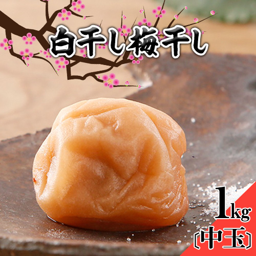 梅干し 白干し梅干し 1kg 中玉 2L 和歌山県産 株式会社とち亀物産 《30日以内に出荷予定(土日祝除く)》 和歌山県 日高町 梅 うめ 白干し 梅干し うめぼし 紀州南高梅 漬物 漬け物 ごはんのお供 1396657 - 和歌山県日高町
