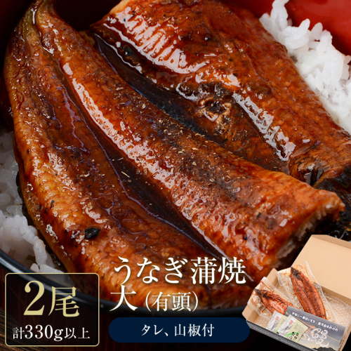 うなぎ蒲焼・大(有頭)(2尾・計330g以上、タレ、山椒付) 1396870 - 鹿児島県肝付町