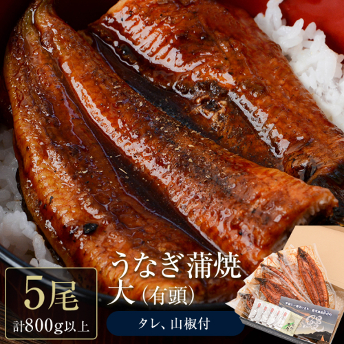 うなぎ蒲焼・大(有頭)(5尾・計800g以上、タレ、山椒付) 1396922 - 鹿児島県肝付町