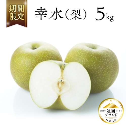 【 JA 北つくば 】 筑西ブランド 認証品 幸水 5kg 2025年産 先行予約 梨 果物 フルーツ なし ナシ [AE008ci] 139851 - 茨城県筑西市