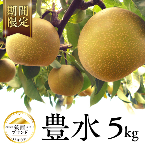 【 JA 北つくば 】 筑西ブランド 認証品 豊水 5kg 2025年産 先行予約 梨 果物 フルーツ なし ナシ [AE010ci] 139853 - 茨城県筑西市