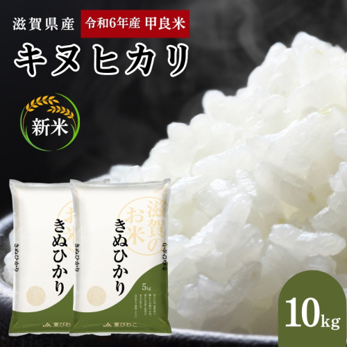 【先行予約】令和7年産甲良米「キヌヒカリ」白米 10kg　お米 こめ コメ おこめ 白米 キヌヒカリ  139940 - 滋賀県甲良町