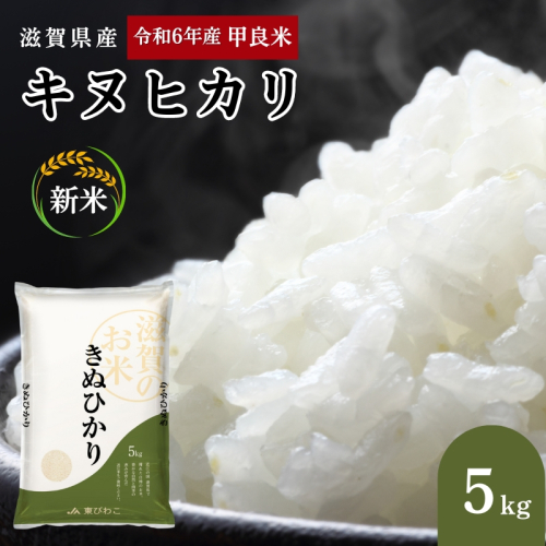 【先行予約】令和7年産甲良米「キヌヒカリ」白米 5kg お米 こめ コメ おこめ 白米 キヌヒカリ 139941 - 滋賀県甲良町