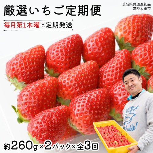 【 先行予約 】 【 定期コース 】 厳選 いちご 2パック 【 毎月 第1木曜に全3回発送 初回発送 2026年1月8日 】 ( 茨城県共通返礼品 : 常陸太田市 ) 約260g×2パック いばらキッス ひたち姫 やよいひめ から 厳選して お届け 定期便 いちご 数量限定 果物 くだもの フルーツ 苺 イチゴ 数量限定 1399828 - 茨城県牛久市