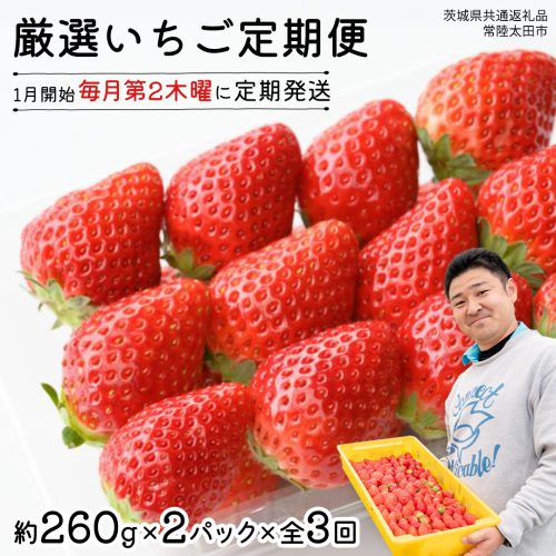 【 先行予約 】 【 定期コース 】 厳選 いちご 2パック 【 毎月 第2木曜に全3回発送 初回発送 2026年1月15日 】 ( 茨城県共通返礼品 : 常陸太田市 ) 約260g×2パック いばらキッス ひたち姫 やよいひめ から 厳選して お届け 定期便 いちご 数量限定 果物 くだもの フルーツ 苺 イチゴ 数量限定 1399830 - 茨城県牛久市