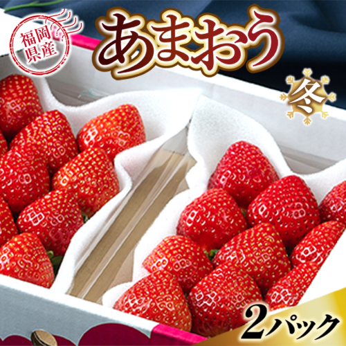 【期間限定発送】 いちご あまおう 福岡産あまおう 冬 2パック [南国フルーツ 福岡県 宇美町 um40azo970000] イチゴ 苺 フルーツ 果実 甘い 小分け 140007 - 福岡県宇美町