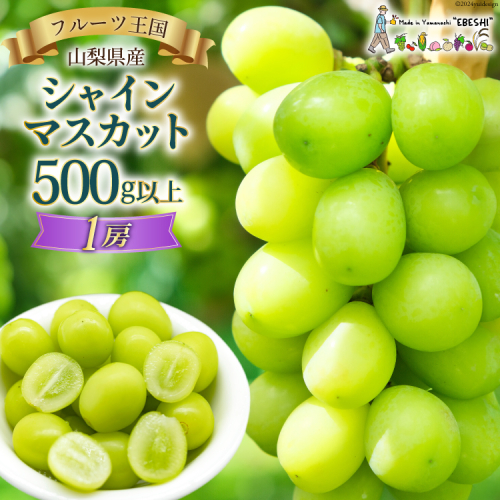【2025年発送】ぶどう 山梨県産 シャインマスカット500g以上（1房） [株式会社えべし 山梨県 中央市 21470865] フルーツ 果物 くだもの ブドウ シャイン マスカット 葡萄 期間限定 季節限定 1400103 - 山梨県中央市