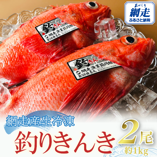 網走産生冷凍釣きんき【2尾で約1kg】 ABAO073 1400379 - 北海道網走市