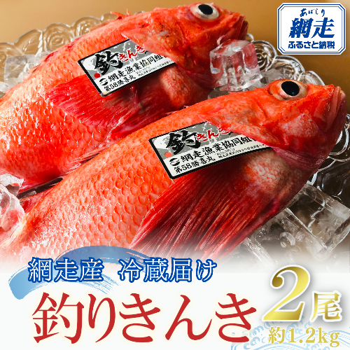 【先行予約】【冷蔵届け】網走産釣きんき【2尾で約1.2kg】（2025年4月15日以降発送） ABAO074 1400381 - 北海道網走市