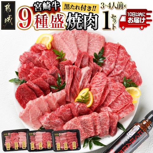 【数量限定】宮崎牛9種盛り焼肉セット≪みやこんじょ特急便≫_22-3101-Q 1400440 - 宮崎県都城市