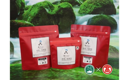 <奥大山の水洗い珈琲> コーヒー（豆）詰合せB ブナの森・グアテマラ 28-CY12 1039 1401393 - 鳥取県江府町